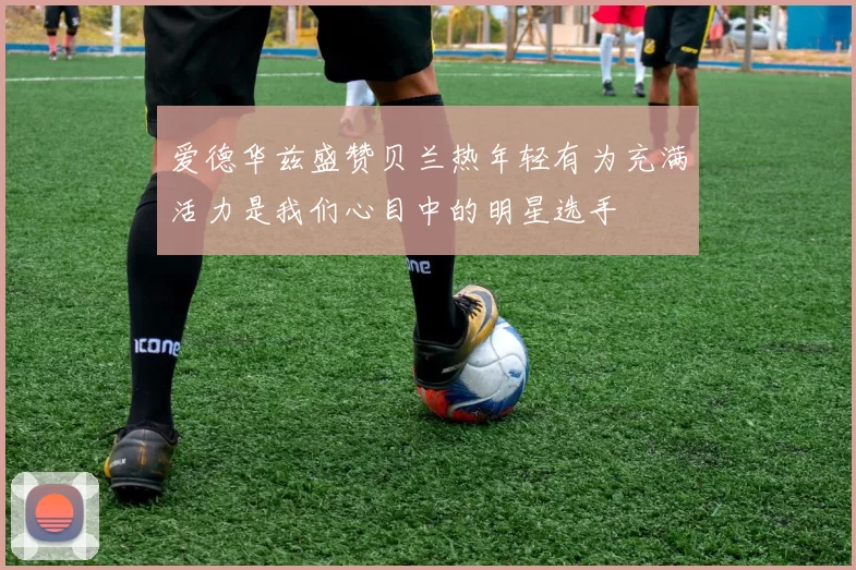 爱德华兹盛赞贝兰热年轻有为充满活力是我们心目中的明星选手