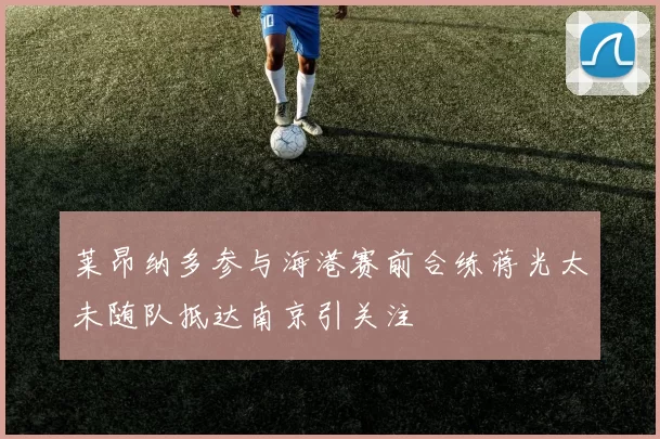 莱昂纳多参与海港赛前合练蒋光太未随队抵达南京引关注