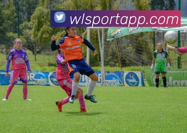 纬来体育APP平台生态图