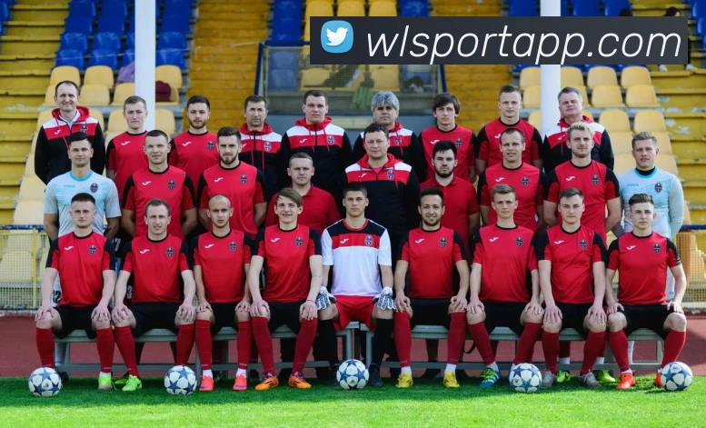 纬来体育APP全站App